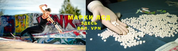 стафф Аркадак