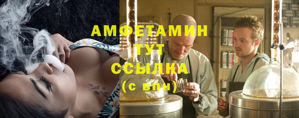 стафф Аркадак