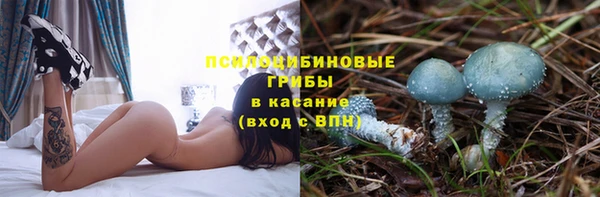 стафф Аркадак